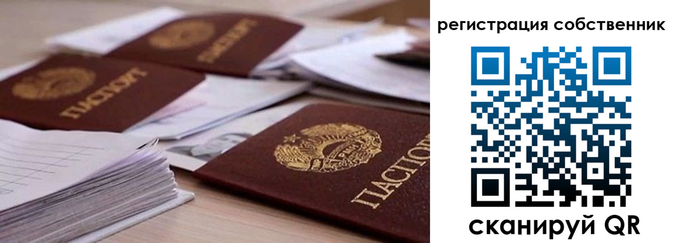 прописка штамп в Острове